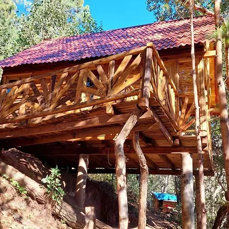 Cabana En El Bosque De San Jose Del Pacifico 4 San Mateo Rio Hondo Exterior photo
