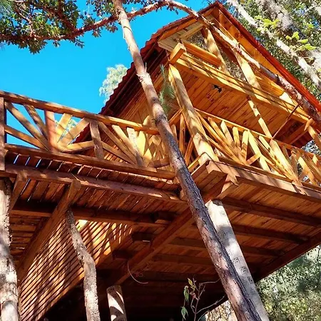 Cabana En El Bosque De San Jose Del Pacifico 4 San Mateo Rio Hondo Exterior photo