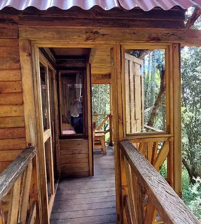 Cabana En El Bosque De San Jose Del Pacifico 4 San Mateo Rio Hondo Exterior photo