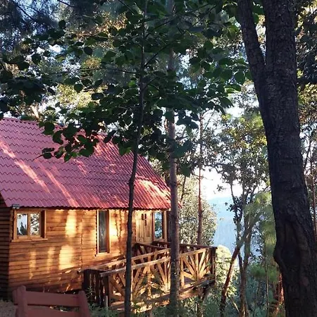 Cabana En El Bosque De San Jose Del Pacifico 4 San Mateo Rio Hondo Exterior photo