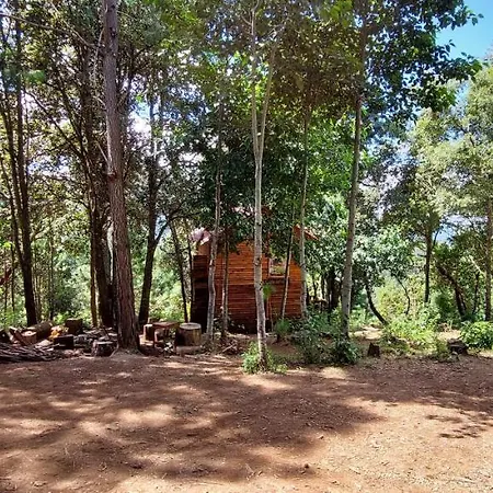 Cabana En El Bosque De San Jose Del Pacifico 4 San Mateo Rio Hondo Exterior photo