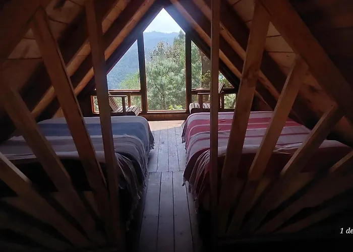 Cabana En El Bosque De San Jose Del Pacifico 4