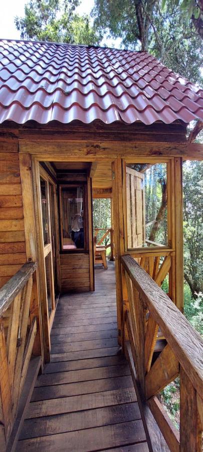 Chalet En El Bosque De San Jose Del Pacifico 4