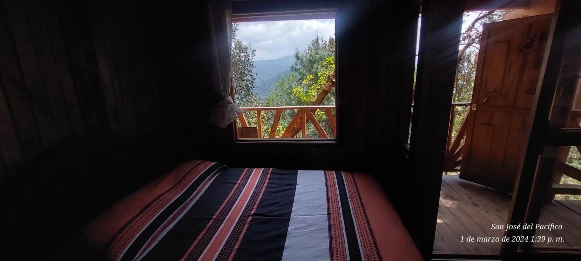 En El Bosque De San Jose Del Pacifico 4 *